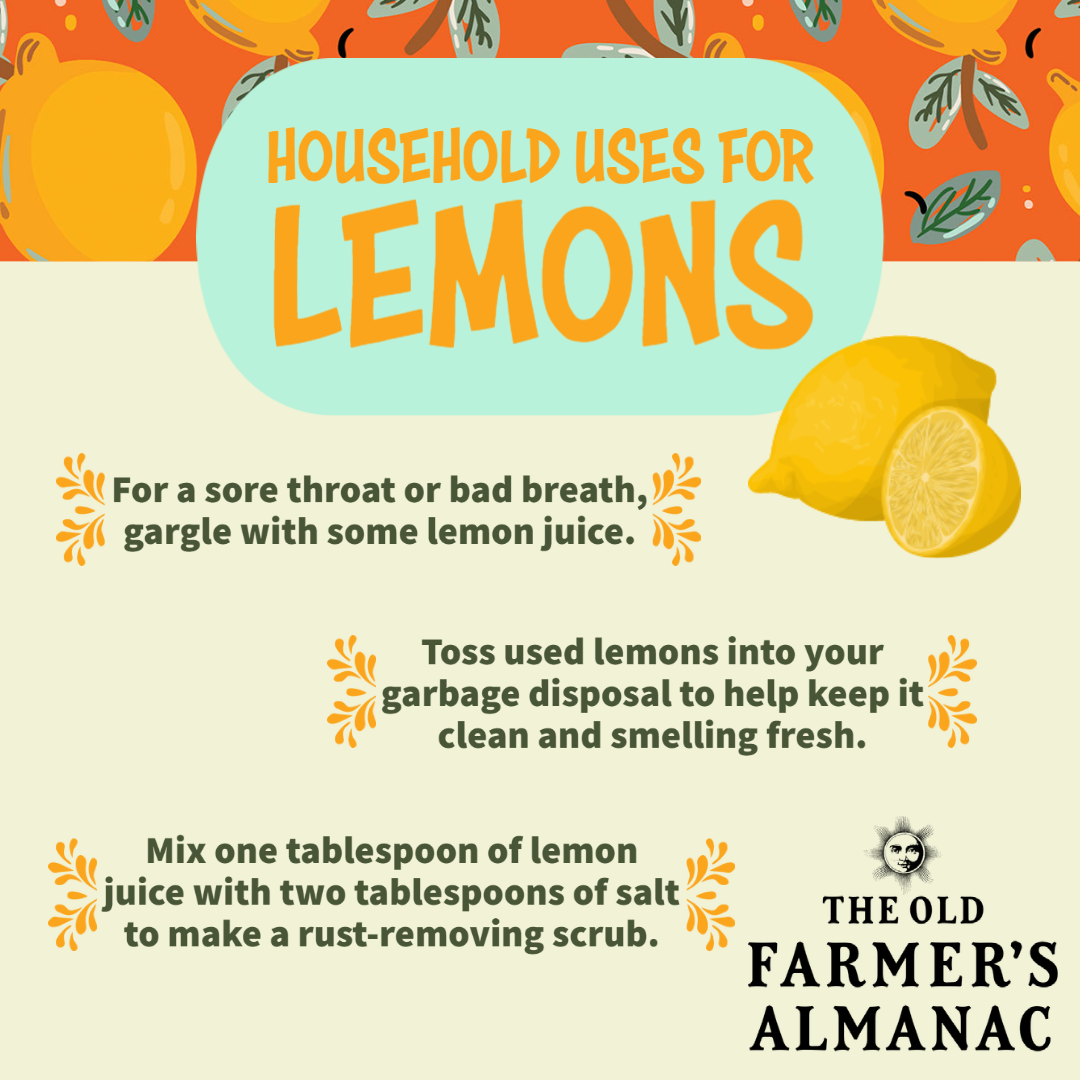 Uses for 2024 lemons for health